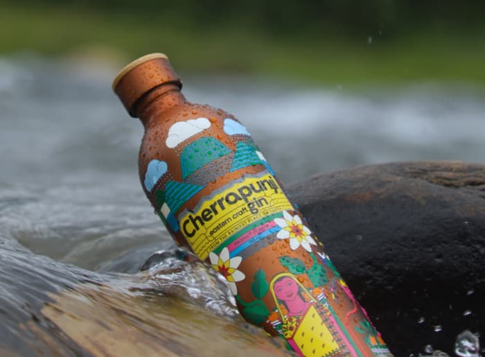 Best Indian Gin Brands