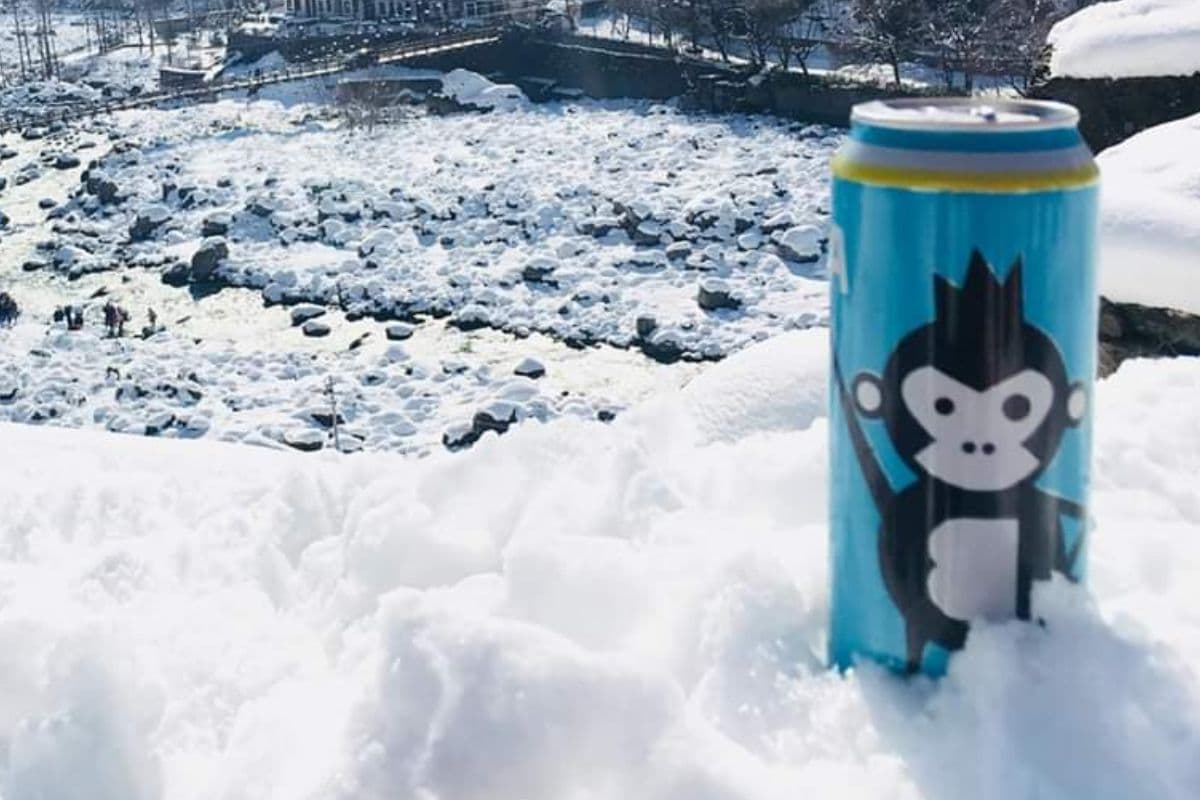 Bira 91 Beer Can Price in India: City-Wise Cost Breakdown