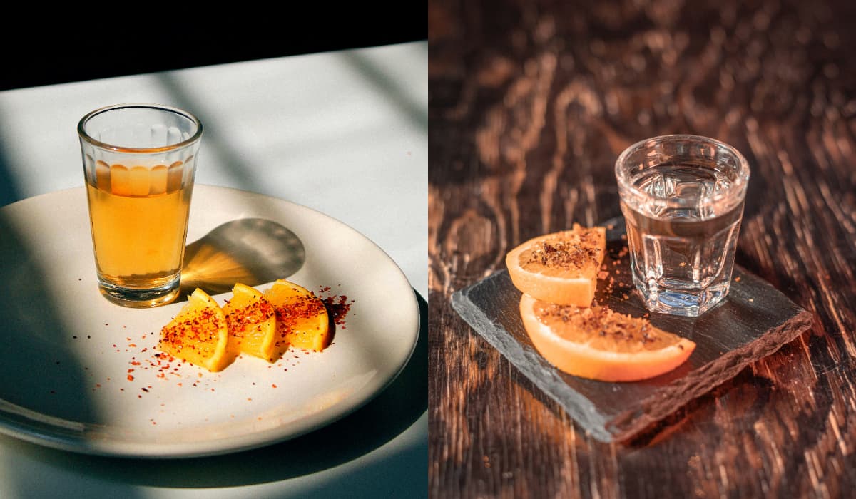 Blanco vs Reposado Tequila: What Is The Difference