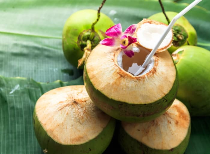 Best Hangover Drink: ORS vs Coconut Water vs Glucon-D