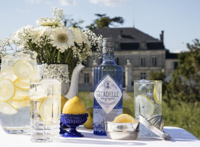 most expensive gin brands in India