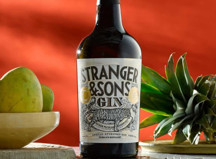 Premium gin bottles with juniper berries, citrus peel and botanical ingredients