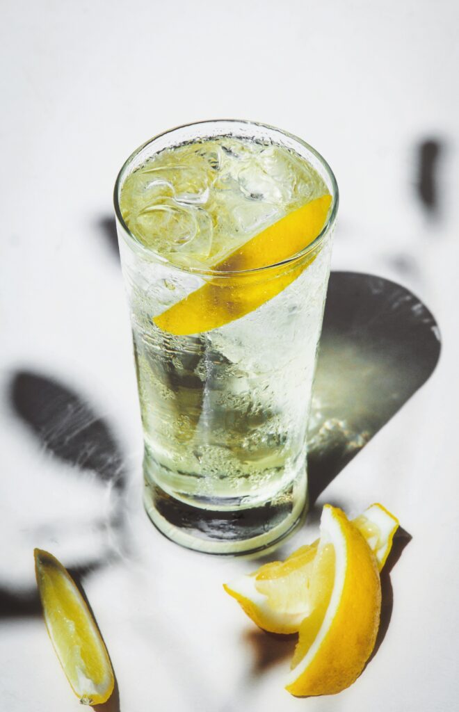 Gin-Fizz-1-660x1024.jpg