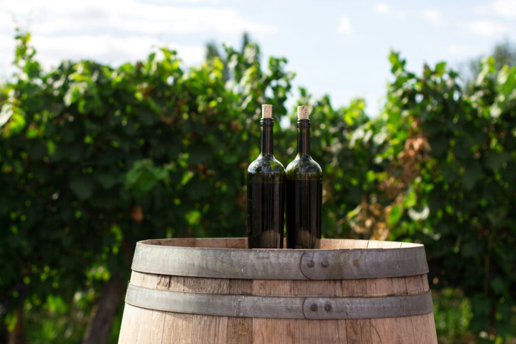 Indias-Wine-Industry-2-1024x683.jpg