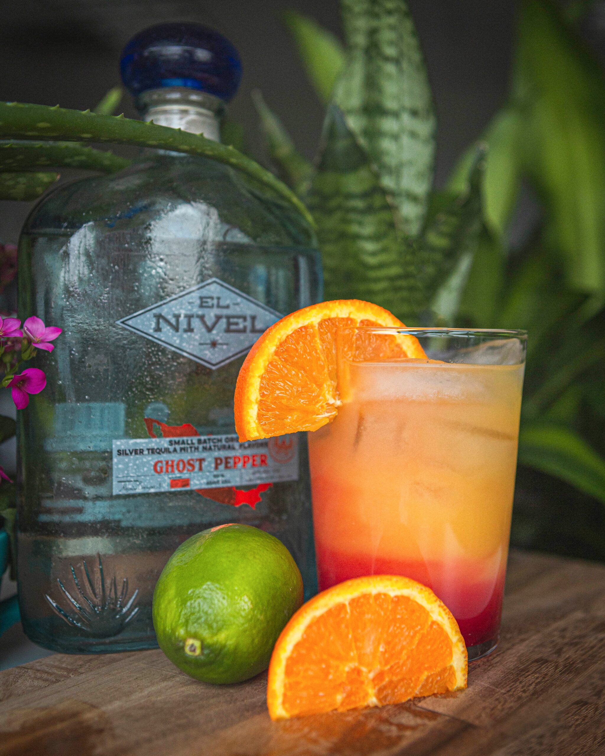 Tequila-Sunrise-scaled.jpg
