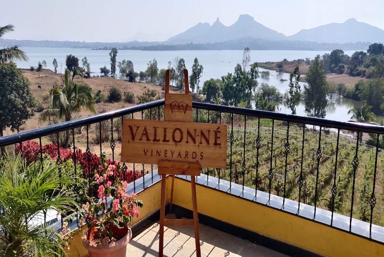 Vallonné Vineyards.jpg