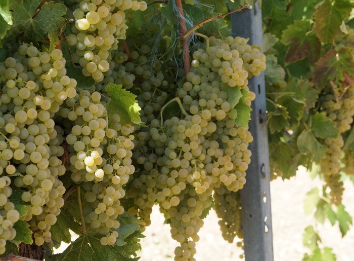 cluster-4682994_1920-1.jpg