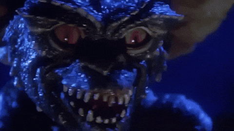 giphy-24.gif