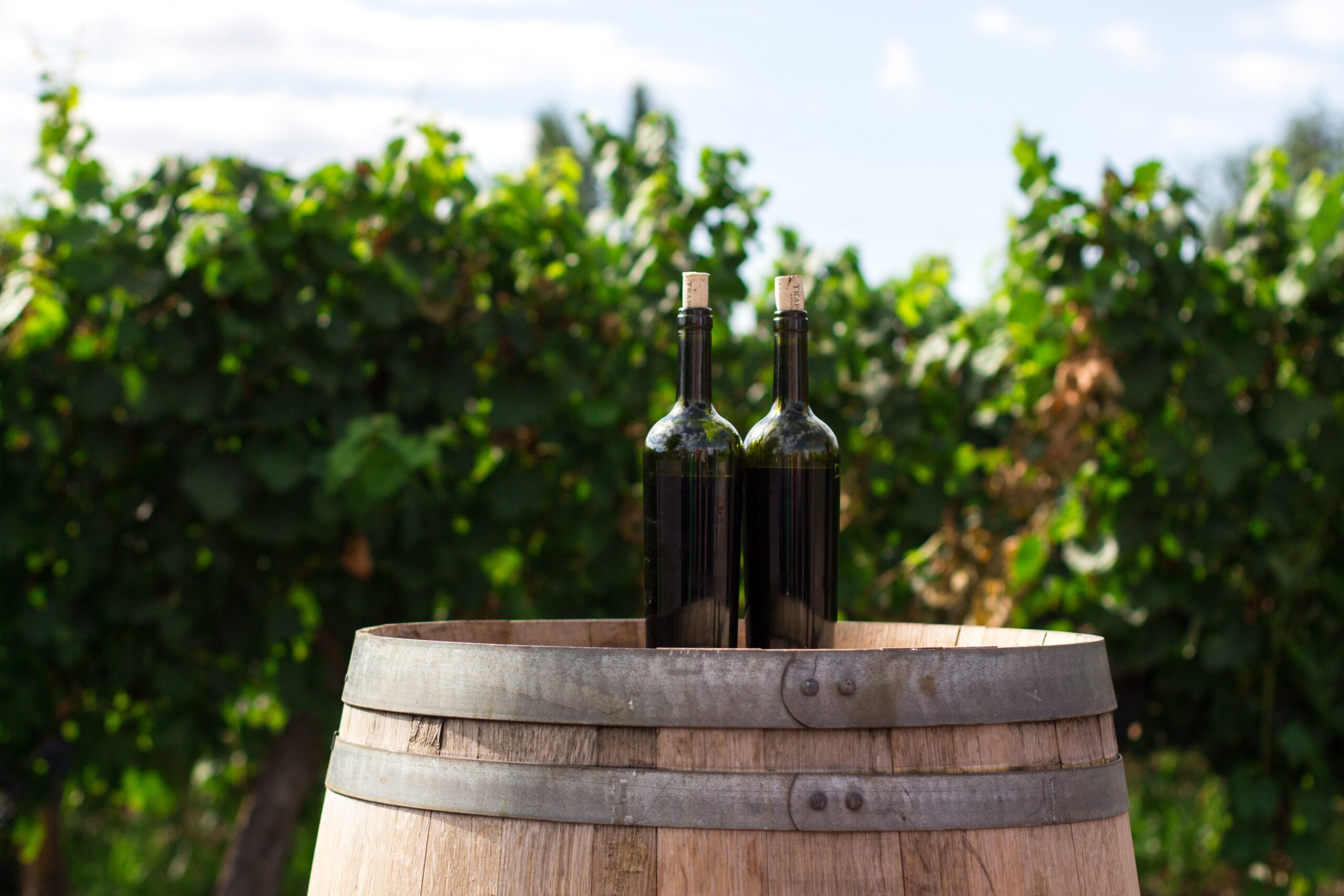 wine-scaled.jpg