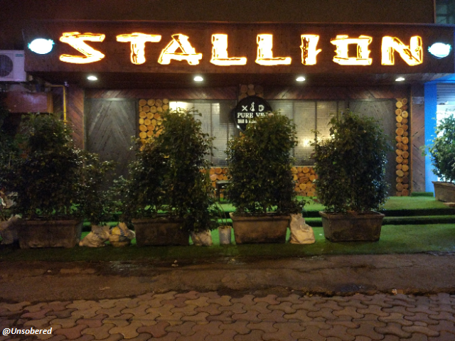 Stallion Header image for unsober review