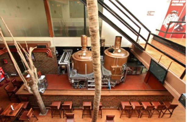 Best Breweries In Bangalore
