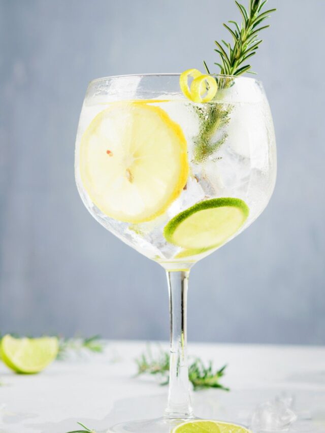 Best Mixers For Gin