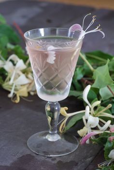 Edible Flowers For Cocktails 