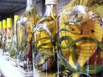 Snake Wine: All That You Need To Know