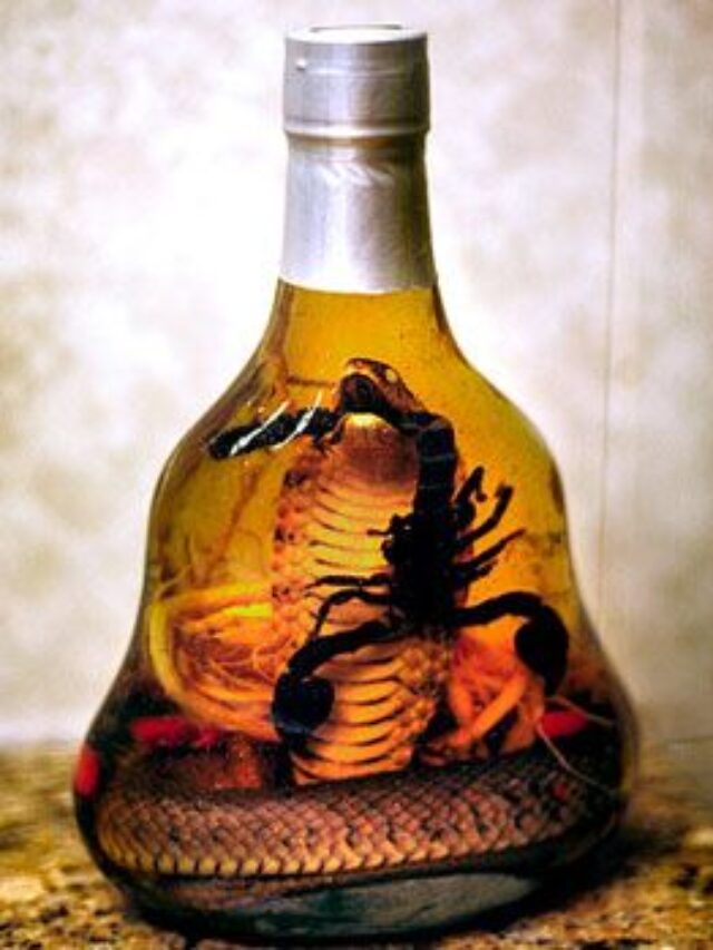 All You Need To Know About The Strangest Vietnamese Drink Snake Wine