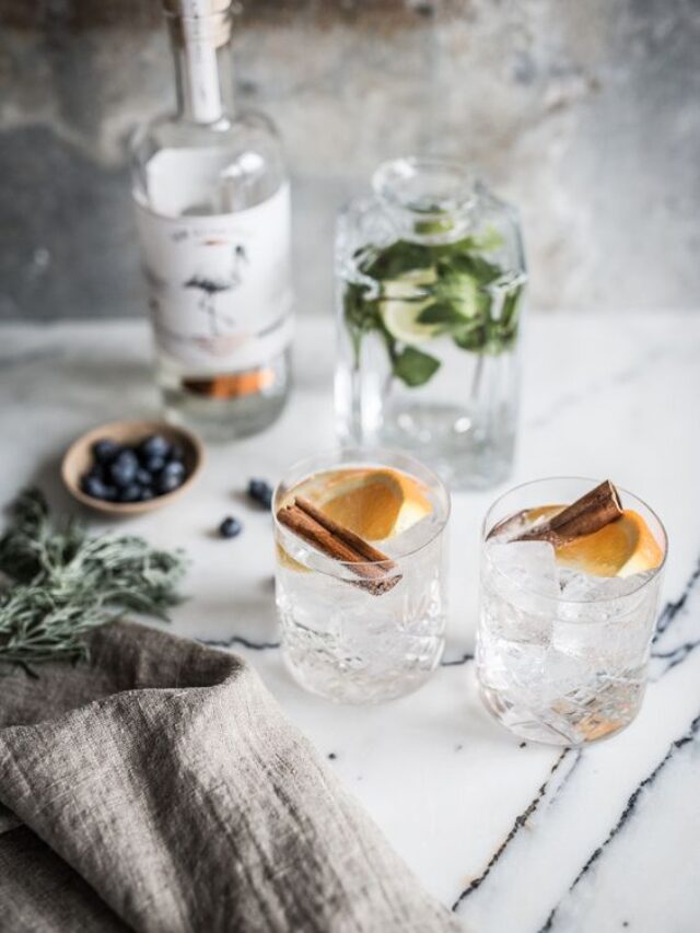 Gin Photography Aesthetic Best Homegrown Gin Brands Part 2