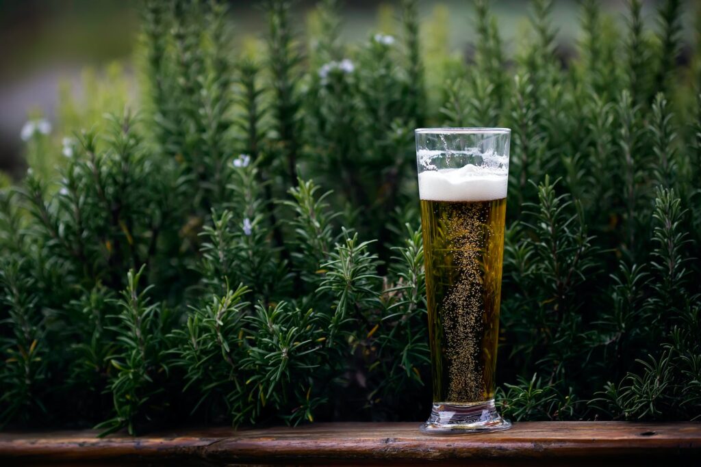 A glass of beer next to decorative plants