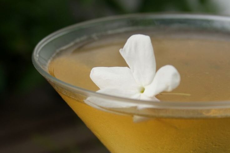 A glass of golden jasmine Martini with s jasmine flower as a garnish. A great floral cocktail. 