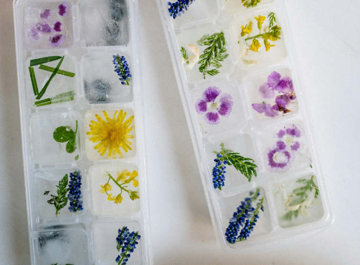 Ice Tray with flowers and herbs