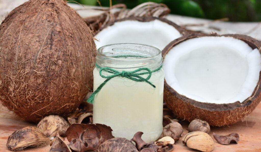 India's first ever Coconut Wine