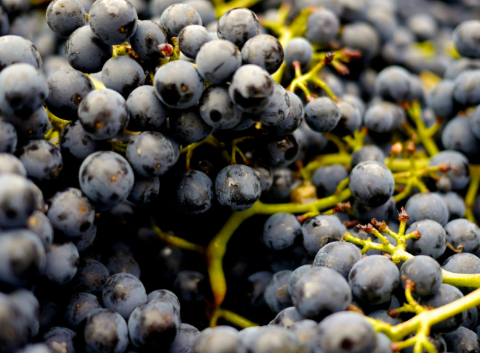 Grapes