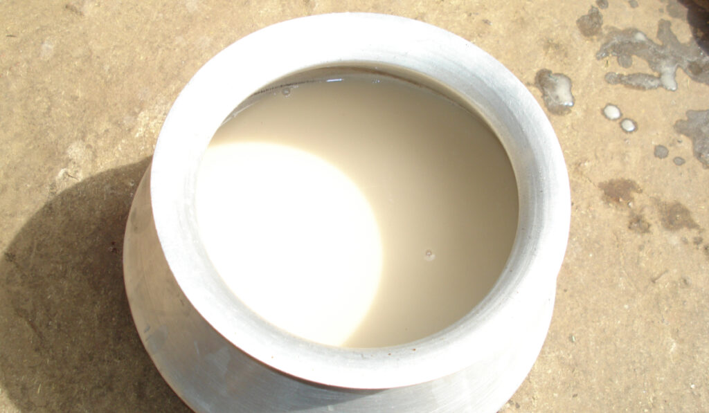 Rasi_ The Rice-Based Alcohol Beverage Stronger Than Handia