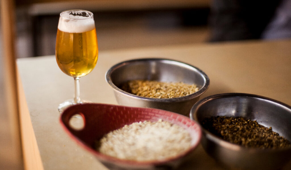Rice Vs Barley Beer_ What Makes Them Different
